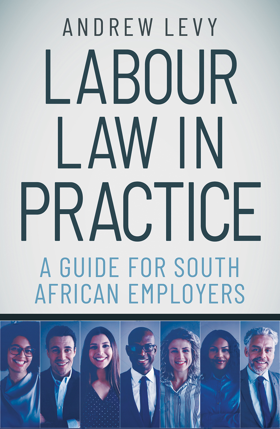 labour-law-in-practice-by-levy-andrew-penguin-random-house-south-africa